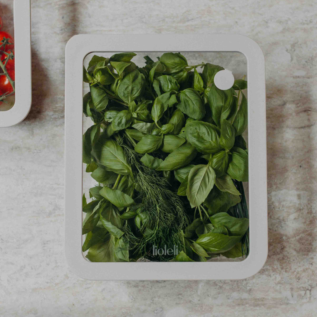 Frischebox | eckig | 2600ml