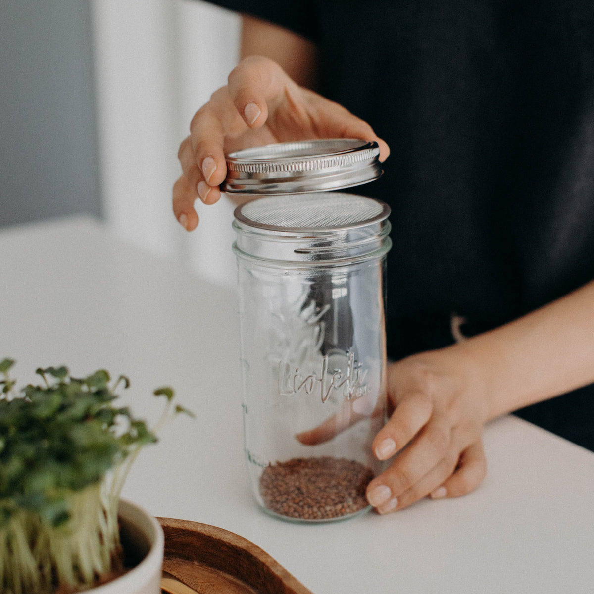 Sprossendeckel | Mason Jar